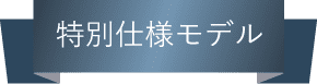 特別仕様モデル