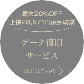 最大20%OFF 上限28,571円(税抜)助成 データ復旧サービス