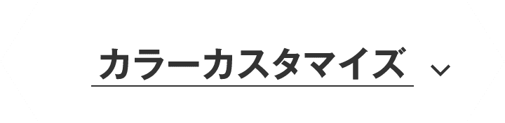 カラーカスタマイズ