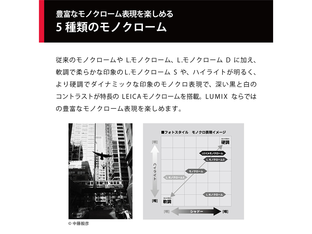 みぃページ ファッション通販サイト｜Rim.z - リムズ ハイカットスニーカー