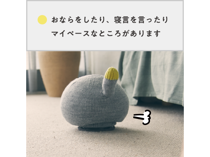 NICOBO シェルピンク SET-RW-NC1-P NICOBO （シェルピンク） 36回分割払い