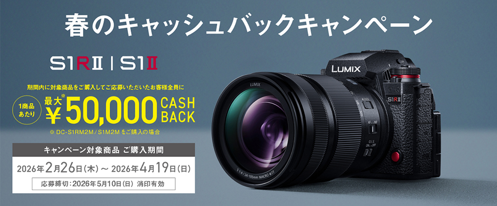 春のキャッシュバックキャンペーン