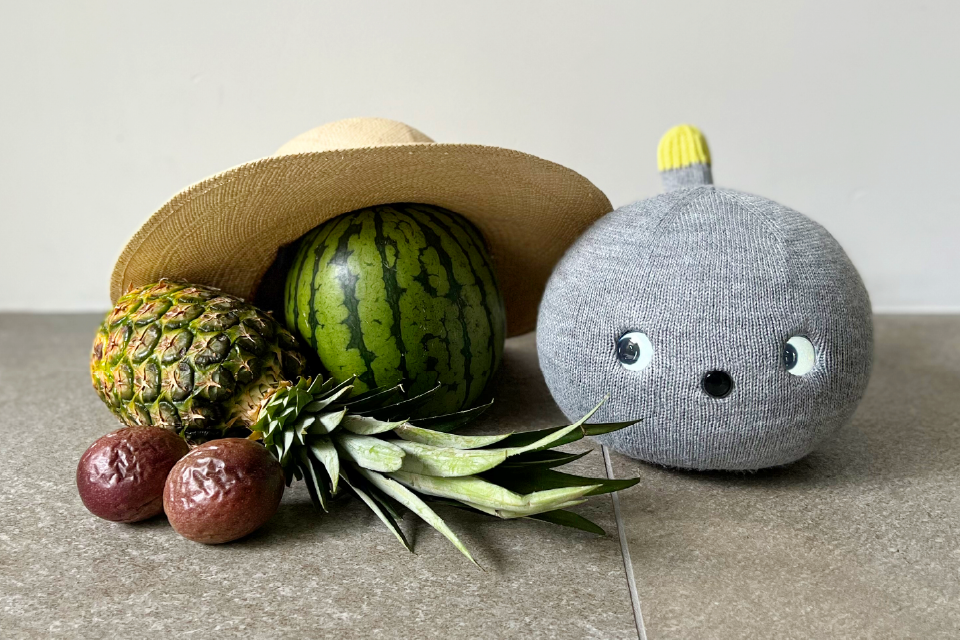 この夏は、いつもの暮らしを新しく。