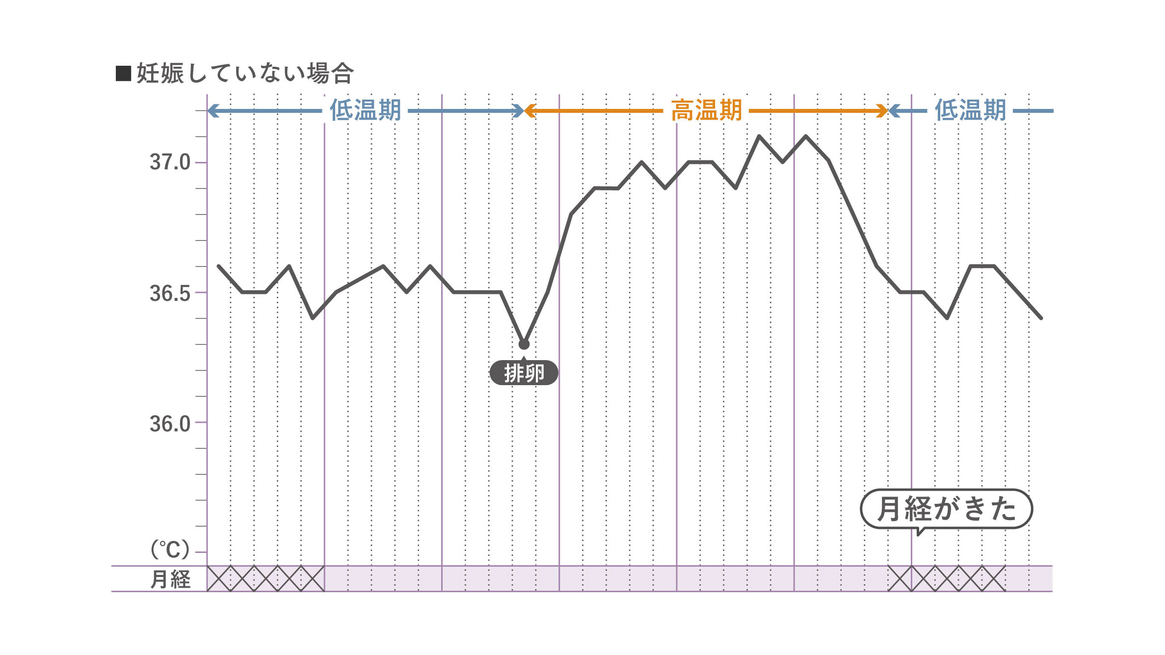 妊娠していない場合の基礎体温表
