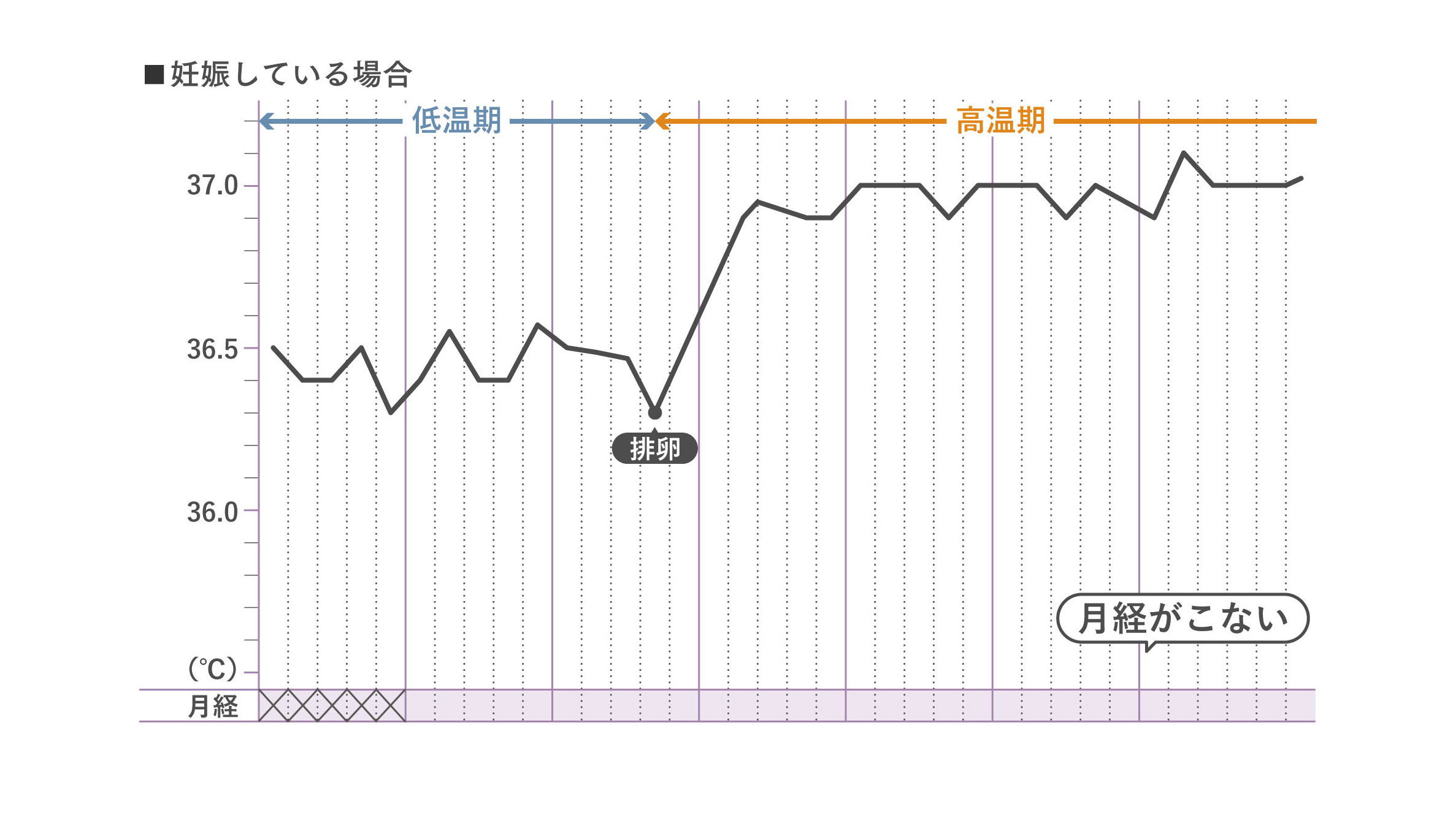 妊娠している場合の基礎体温表