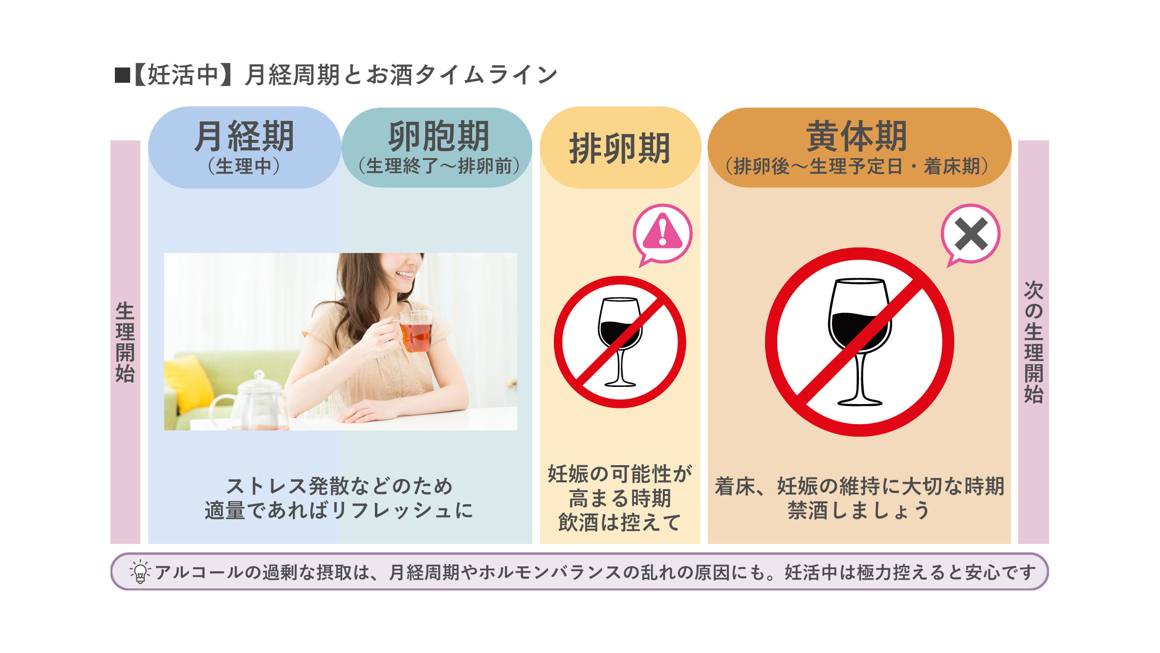 妊活中のお酒／月経周期とお酒の関係タイムライン
