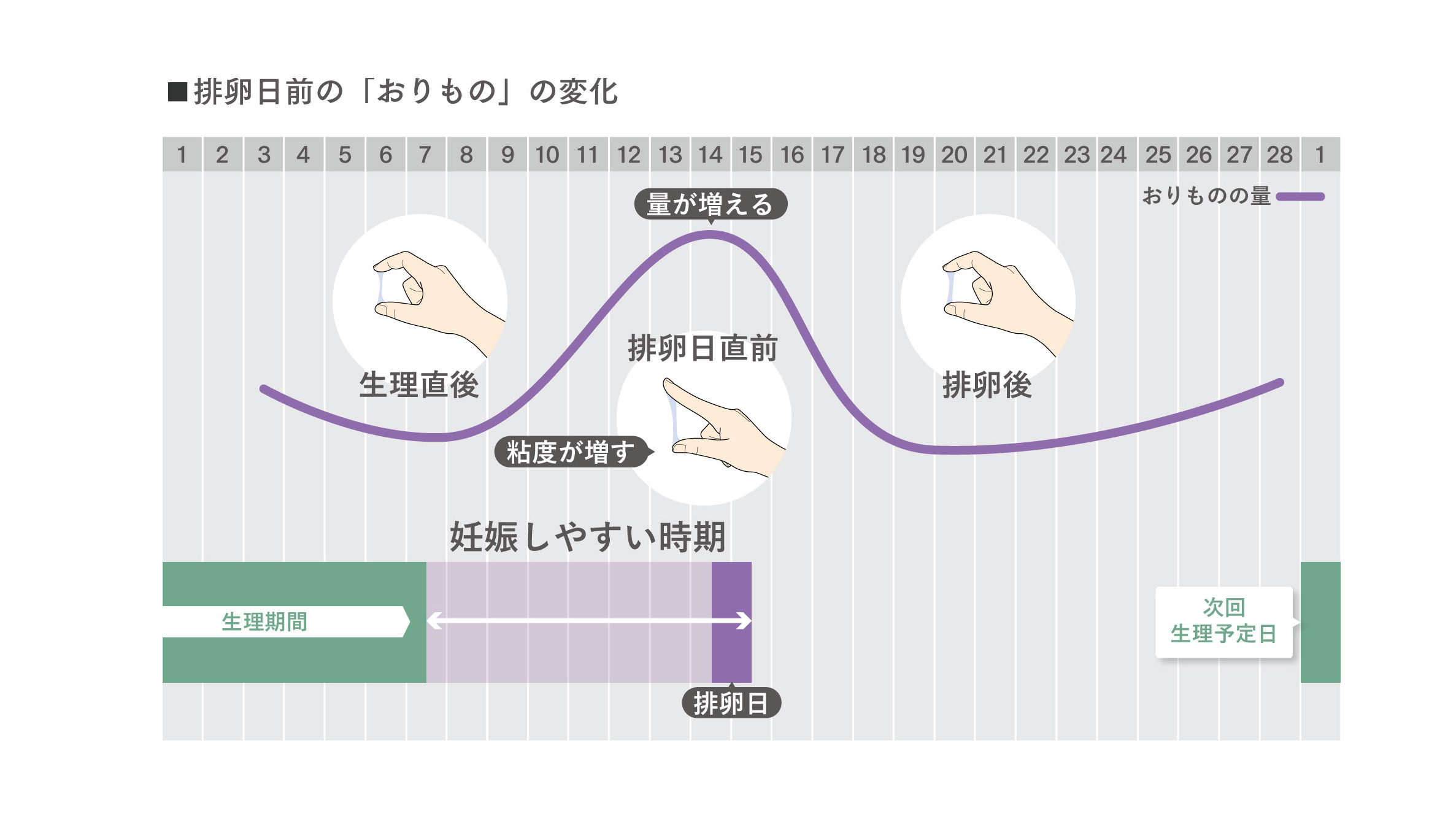 妊娠しやすい時期のおりものの変化（図）