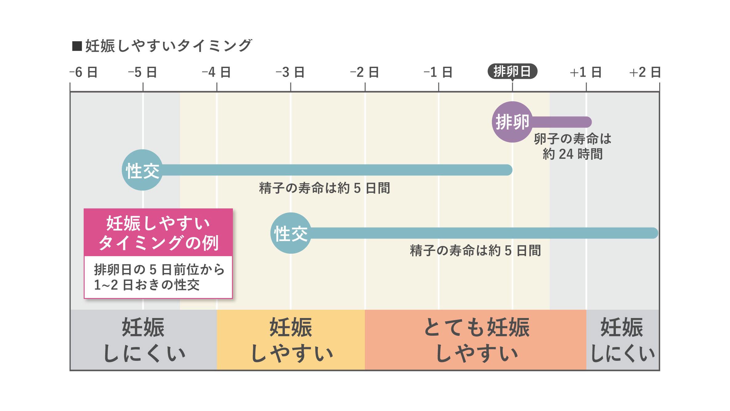 タイミング法で妊娠しやすい時期（図）