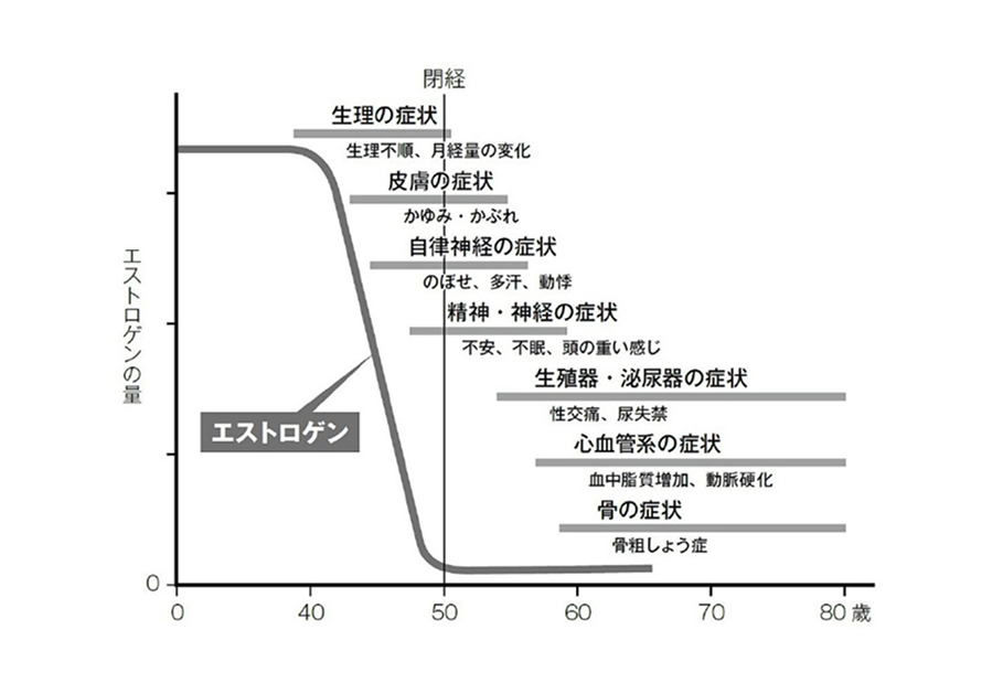 年齢別のエストロゲン量のグラフです。