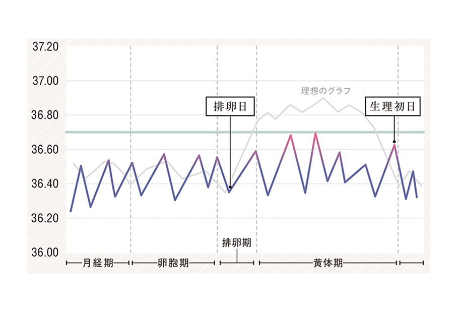 基礎体温の折れ線がバラバラのグラフ イメージです。