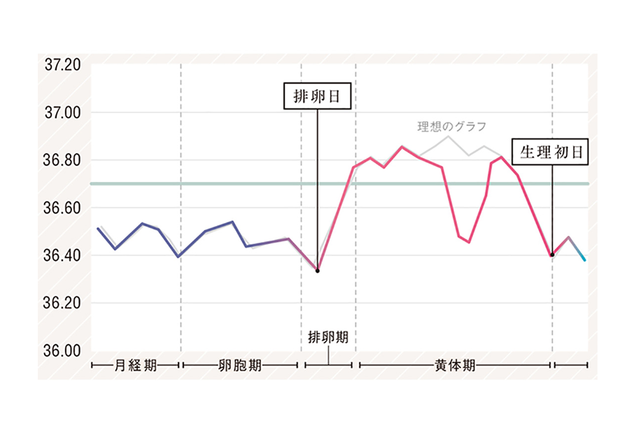 高温期の途中で体温が下がるグラフ イメージです。