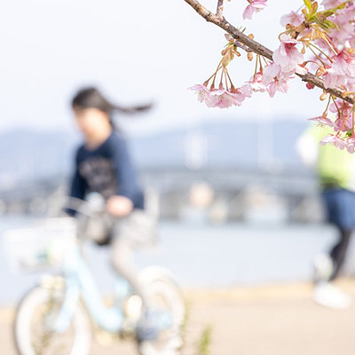自転車保険には､入っていますか?
