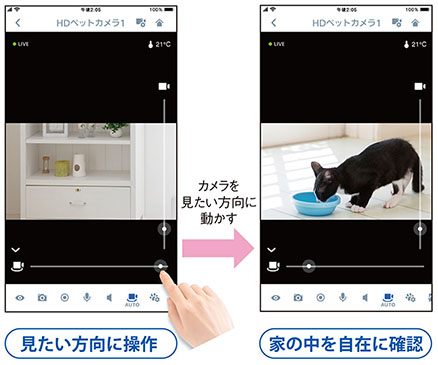 ペットカメラで撮影