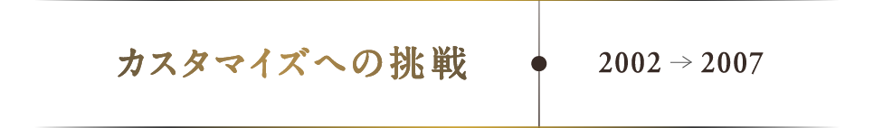 カスタマイズへの挑戦：2002-2007
