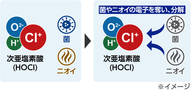 【図】
