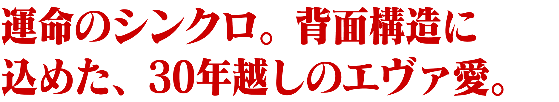 運命のシンクロ。背面構造に込めた、30年越しのエヴァ愛。