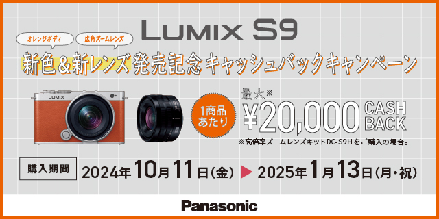 極美品！最終値下げ！本日掲載終了！LUMIX S-E100 100mm F2.8